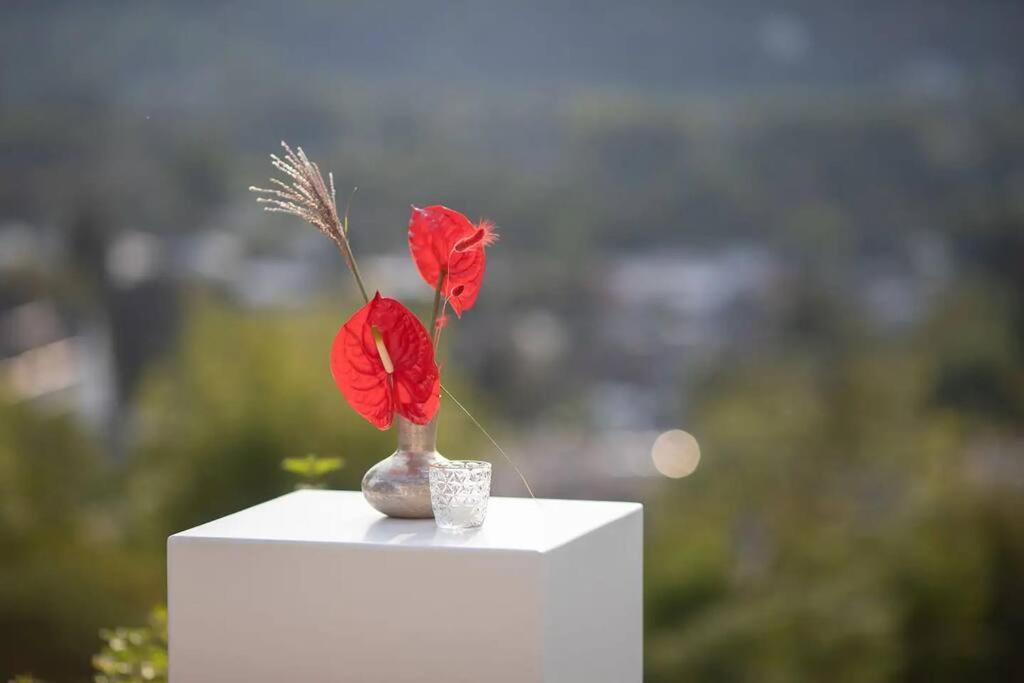 Villa Heckenfels Bad Honnef Esterno foto