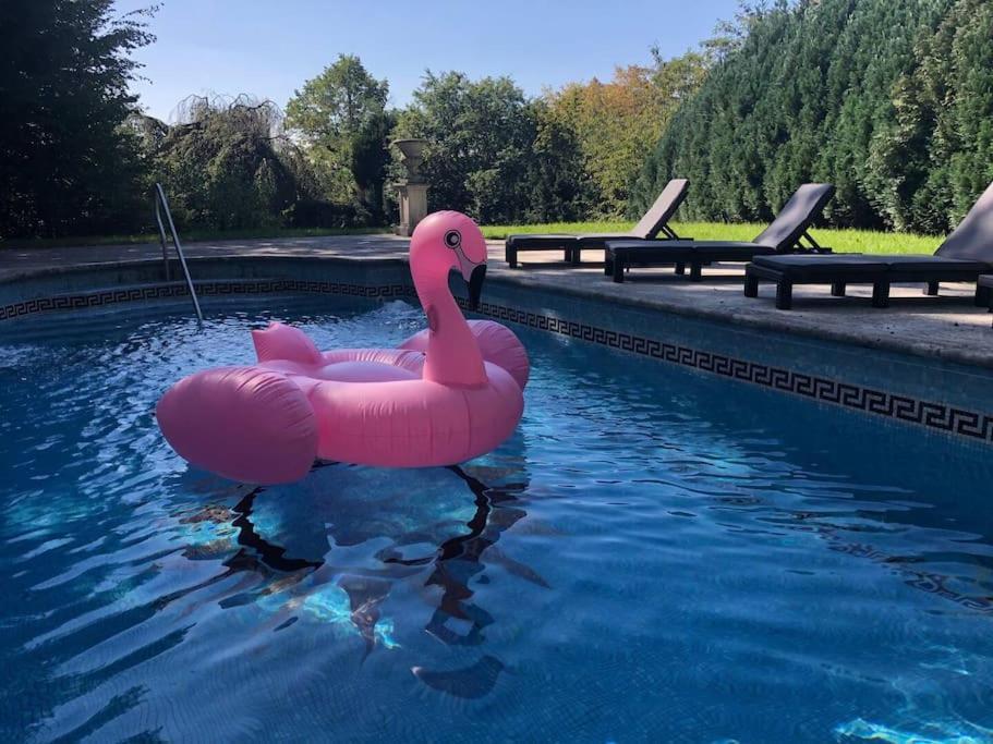 Villa Heckenfels Bad Honnef Esterno foto